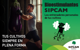 SIPCAM